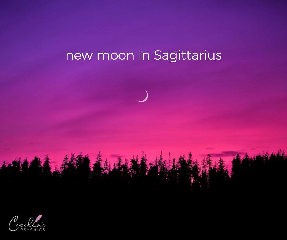 New Moon Sagittarius - Cecelia Pty Ltd