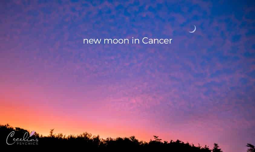 New Moon in Cancer - Cecelia Pty Ltd