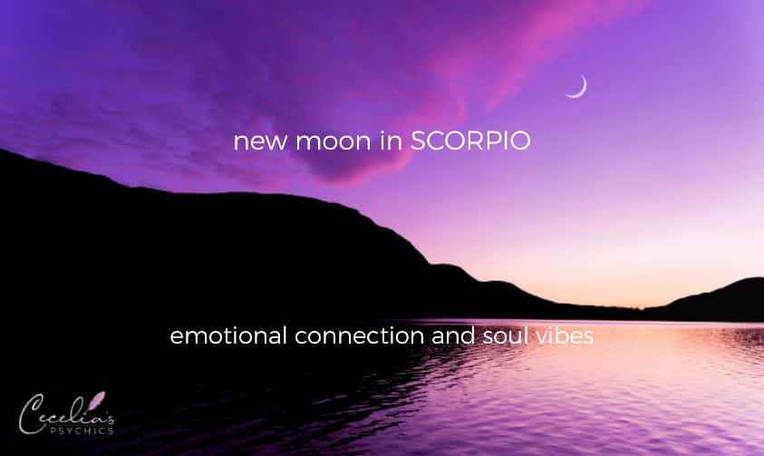 Scorpio New Moon - Cecelia Pty Ltd