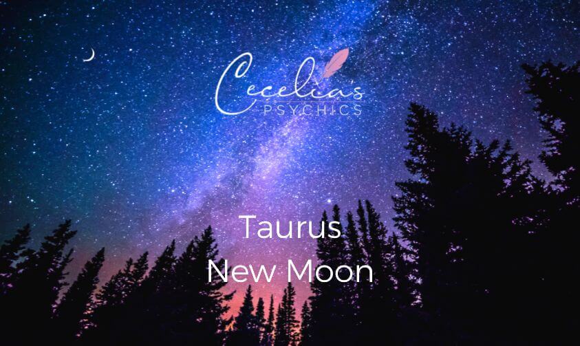 Taurus New Moon - Cecelia Pty Ltd